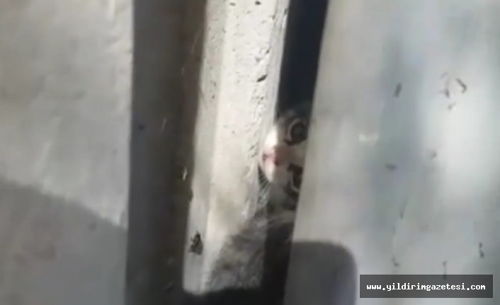 Duvar arasına sıkışan kediyi itfaiye kurtardı