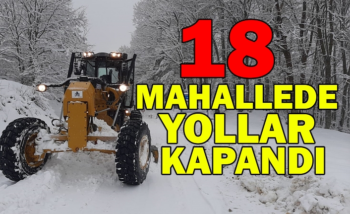 18 MAHALLEDE YOLLAR KAPANDI